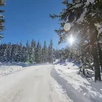 In Near Slopes * Mittersill