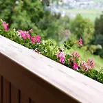In Near Slopes