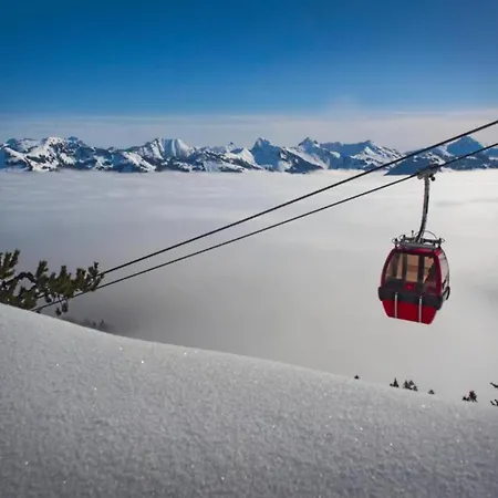 In Near Slopes * Mittersill