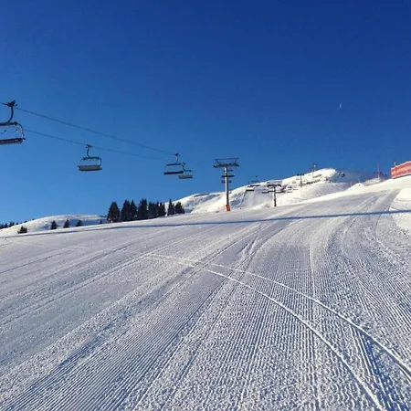 In Near Slopes 別荘