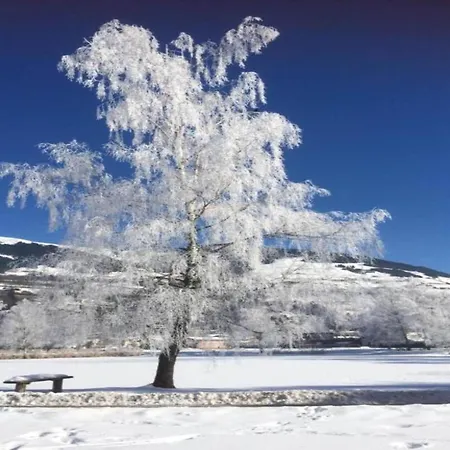 別荘 In Near Slopes ミッタージル