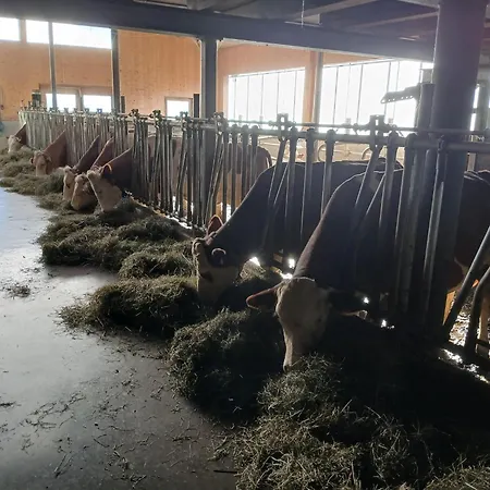 Vakantiehuis In Near Slopes Mittersill