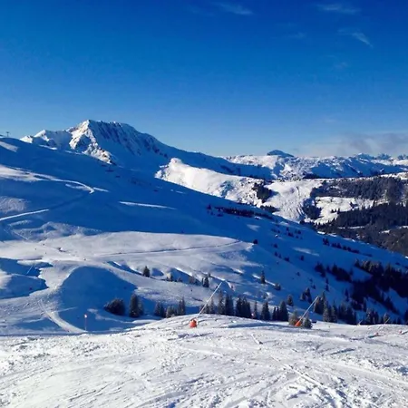 In Near Slopes