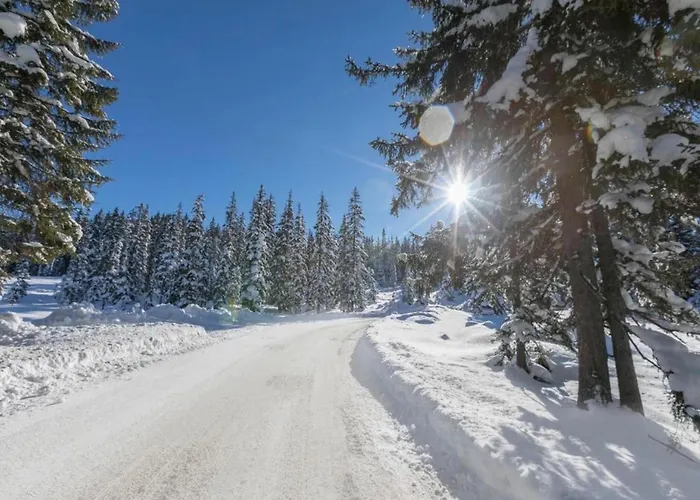 Vakantiehuis In Near Slopes Mittersill