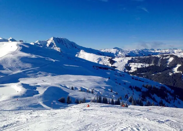 Vakantiehuis In Near Slopes