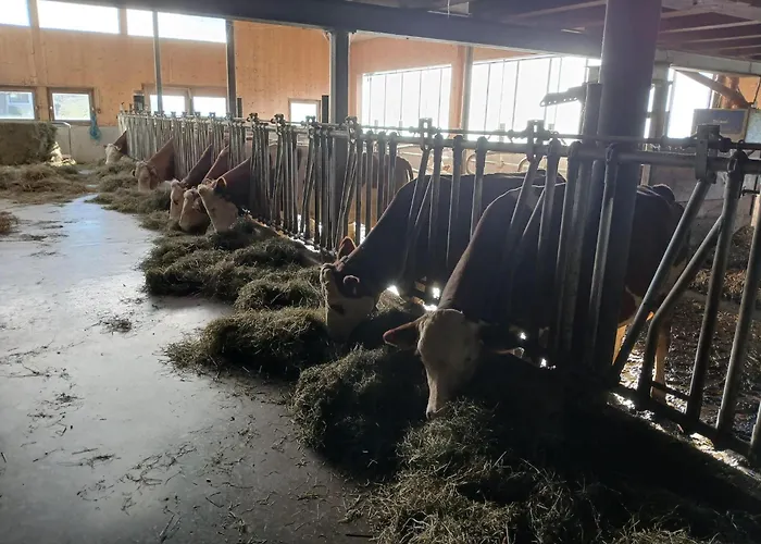 Vakantiehuis In Near Slopes Mittersill